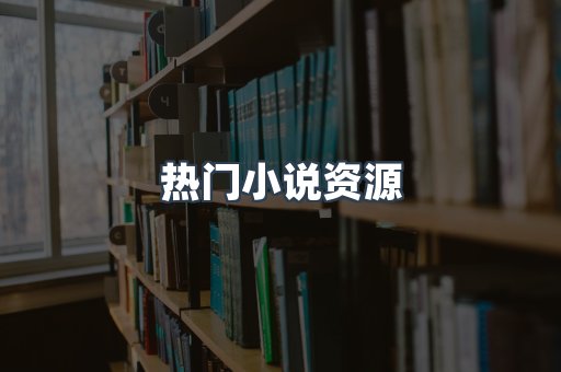 热门小说资源